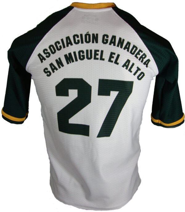 Beisball jersey custom